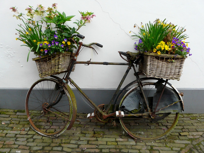 Открытки. 23 апреля День велосипеда! Велик с цветами