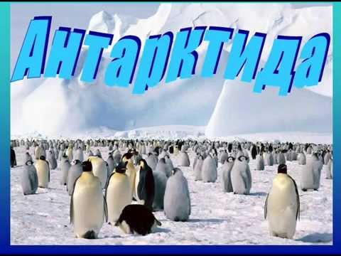 Открытки. С Днем полярника! Антарктида! Пингвины!