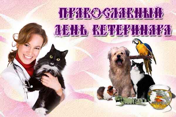 Открытки. Православный день ветеринара! Доктор и животные
