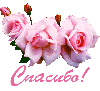 Спасибо! Розовые розы картинка смайлик