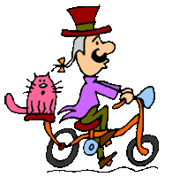 Мужчина на велосипеде везет кота