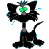 Черный кот хлопает зелеными глазами