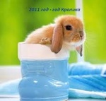 2011 год-год кролика (в сапожке)