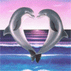Дельфины в прыжке создают рисунок сердца