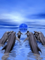 Дельфины с шаром