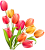Весенние цветы смайлик картинка