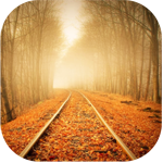 Осень. Железная дорога в листве