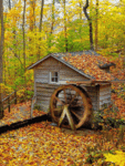 Осень,домик в лесу