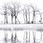 Зима,  снег, голые деревья отражаются в воде картинка смайлик