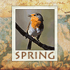 Птичка. Весна