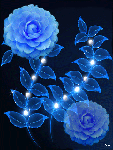 Голубые цветы в ночи