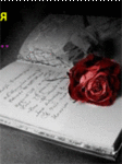 Цветок розы лежит на страницах дневника (я так хотела пол...