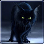 Черный кот (15)