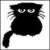 Черный кот с длинными усами