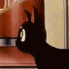 Черный кот (7)