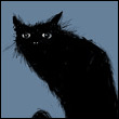 Черный кот (3)