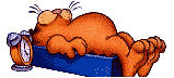 У рыжика-котика сонный час картинка смайлик