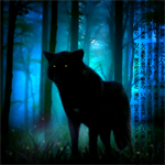 Черный волк в ночном лесу