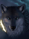 Волк сверкает глазами
