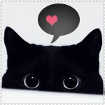 Черная кошка мечтает о любви