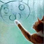 Котенок на стекле рисует котика )))