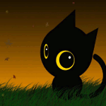 Чёрный котик с жёлтыми глазами