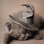 Котёнок в шапочке мага
