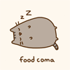 Кот объелся и спит (food coma)
