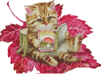 Котенок читает книгу на кленовом листе