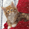 Рыжий котенок на плече у девочки под снегопадом