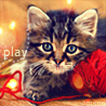 Котёнок с клубком (play)