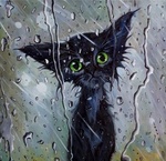 Грустный черный кот с зелеными глазами под дождем