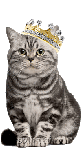 Полосатый кот в короне