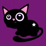 Чёрный кот со звёздочкой