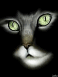 Кошка с мигающими глазами