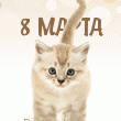 Котёнок и надпись 8 марта
