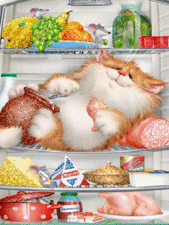 Кот лакомится в холодильнике.А.Долотов