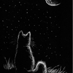 Котенок смотрит на луну