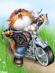 Котик с мотоциклом.А.Долотов