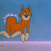 Рыжий кот из мультфильма «том и джерри