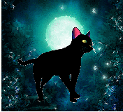 Черный котик любит прогуляться при луне