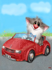 Котик в автомобиле.А.Долотов