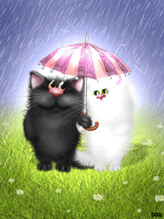Кот и кошка под зонтом. Любовь