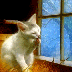 Котенок на сеновале умывается перед окном за которым идет...