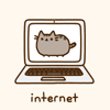 Кот в ноутбуке (internet)