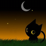 Чёрный котёнок ночью сидит в траве