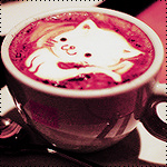 Котенок на пенке кофе в чашке