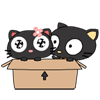 Кавайные котята в коробочке