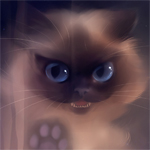 Сиамская кошка с большими синими глазами