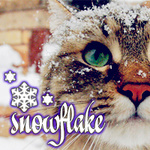 Полосатый кот усыпанный снегом (snowflake)